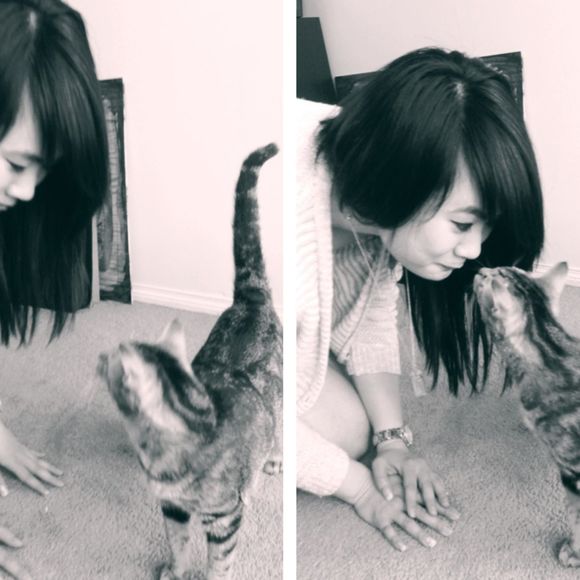 Meet your Posher, Reanne - Picture 1 of 1